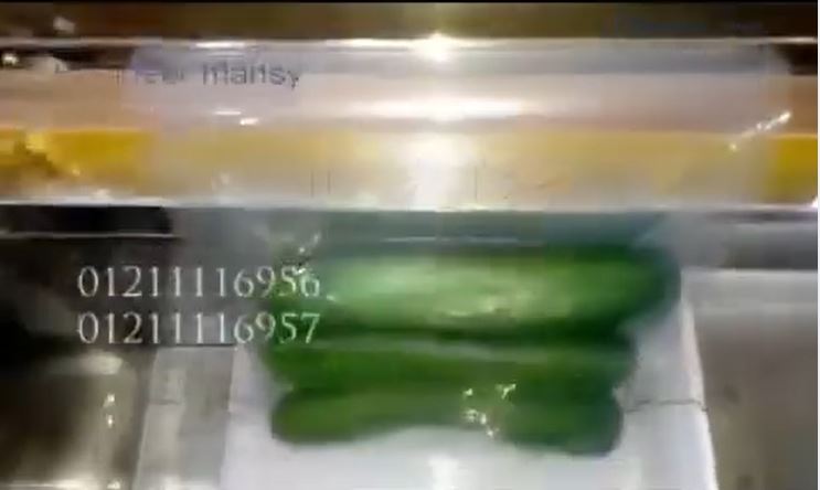 شرح لماكينة فاكيوم حوض صغير لشفط الهواء من أكياس الخضار و الفاكهة كود 601 ماركة مهندس منسي