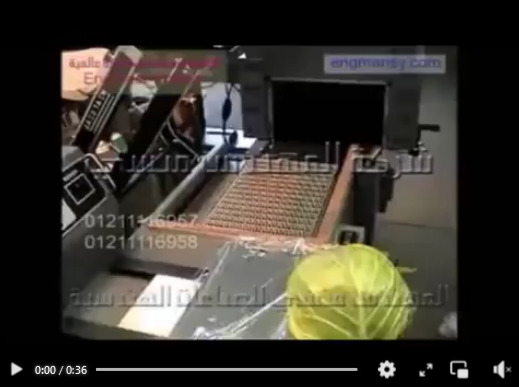 قطاعة شرينك مع ماكينة تغليف شرينك بالشد الحرارى لتغليف خضروات مثل الكرنب أتوماتيك كود 107 ماركة مهندس منسي