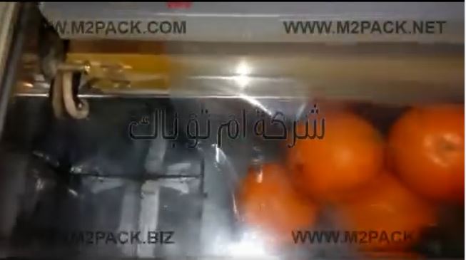 ماكينة فاكيوم غرفة ديسك توب تعمل علي كهرباء المنزل لتغليف أكياس الفاكهة كالبرتقال بشفط وتفريغ الهواء ولحامها موديل 601 ماركة مهندس منسي