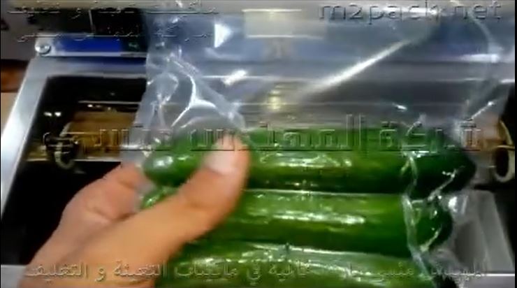 ماكينة فاكيوم نصف اتوماتيك غرفة واحده لشفط الهواء من أكياس الخضروات كود 601 ماركة مهندس منسي