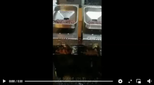 آلة عصر بذور القهوة و إستخلاص زيت بيور موديل 811 ماركة مهندس منسي