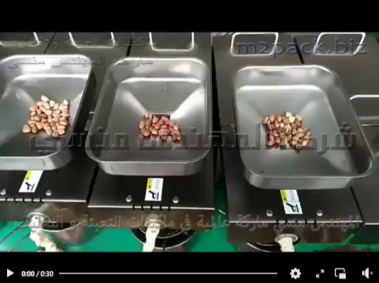 ماكينة إستخلاص زيت الفول السوداني من عصر الفول السوداني للاستخدام المنزلي من الفولاذ المقاوم للصدأ صغيرة الحجم موديل 811 ماركة المهندس منسى