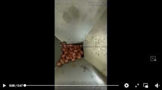 ماكينة إستانلس لعصر حبيبات الفول الصويا و إستخلاص زيت نقي مع مخرج إضافي للشوائب موديل 811 ماركة مهندس منسي