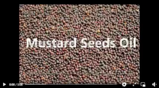 معصرة إستخلاص الزيوت من بذور متعددة تعمل بكهرباء 220 فولت موديل 811 ماركة إم توباك