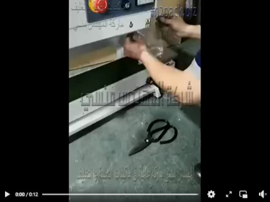 ماكينة لحام حرارى سير رأسى متعددة الإستعمالات لغلق أكياس السوائل دون تسريب المنتج موديل 303 ماركة المهندس منسى