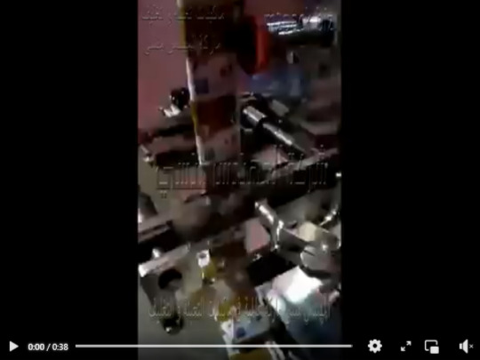 ماكينة تعبئة وتغليف ثومية ، مسطرده بكيس لحام ثلاثي أتوماتيكيا موديل 505 ماركة المهندس منسى